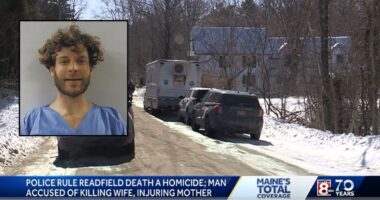 Engineer killed wife, assaulted mom: Police