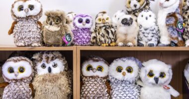 Everyone can see the purple toy owl – but you need genius-level IQ & 20/20 vision to spot the real one in 7 seconds