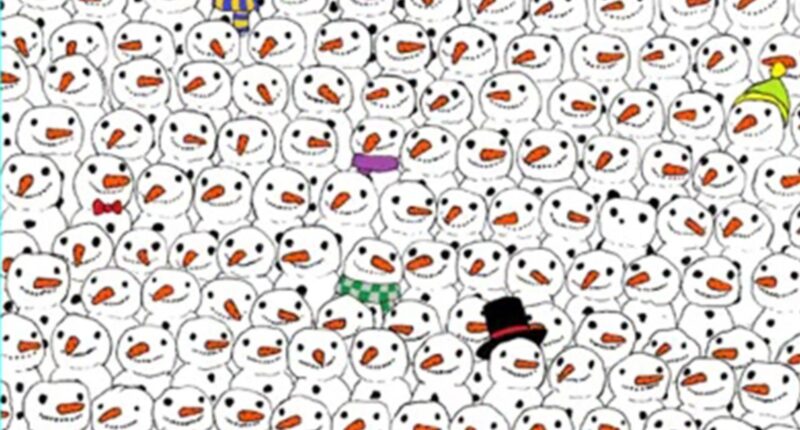 Everyone can see the top hat-wearing snowman but you need 20/20 vision to spot the panda in under 7 seconds