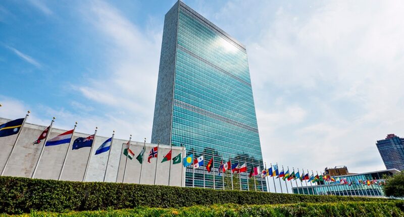 Experts slam UN action plan for combating antisemitism: ‘phony exercise in futility’