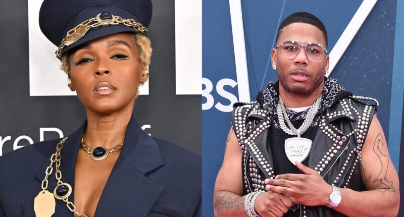 Fans Divided After Janelle Monae Calls Nelly  A 'Fool' In Grammy After-Party Freestyle