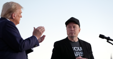 Federal judge blocks Elon Musk's DOGE in Donald Trump administration from accessing sensitive US Treasury Department material