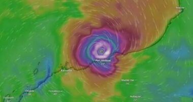 Tropical Cyclone Zelia