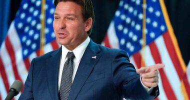 Florida Gov. DeSantis proposes $115.6B state budget