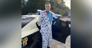 Florida man nabbed allegedly trying to outrun troopers while wearing Dalmatian onesie