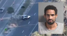 Fugitive arrested in Volusia after pursuit ends in wreck, dog bite, sheriff’s office says