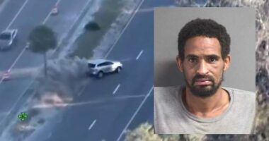 Fugitive arrested in Volusia after pursuit ends in wreck, dog bite, sheriff’s office says