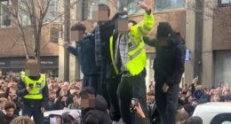 Fury at the police force that refuses to fight crime: Met officers let GenZ mob run riot for TikTok stunt and refuse to tackle park hammer attackers in one day  