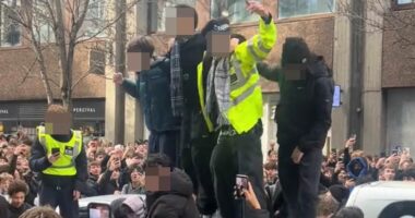 Fury at the police force that refuses to fight crime: Met officers let GenZ mob run riot for TikTok stunt and refuse to tackle park hammer attackers in one day  