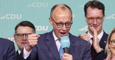 Fury over 'US interference' in German elections: New chancellor says comments from Washington were 'as bad as anything coming from Russia' as AfD finishes second following support from Elon Musk