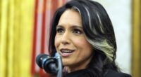 Gabbard: Biden Admin Knew About the Perverted Chats at Our Intel Agencies for Years, Didn't Give a Damn