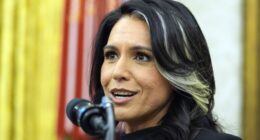 Gabbard: Biden Admin Knew About the Perverted Chats at Our Intel Agencies for Years, Didn't Give a Damn