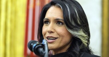 Gabbard: Biden Admin Knew About the Perverted Chats at Our Intel Agencies for Years, Didn't Give a Damn