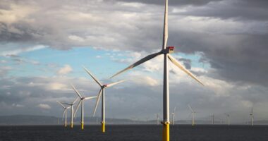 Giant wind farm powered by Chinese turbines set to get green light despite security fears