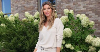 Gisele Bundchen and BF Joaquim's Baby Sex, Name Details Revealed: Report