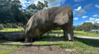 Have you seen this headless Florida dinosaur on the road? Well, it’s got a deadly past