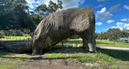 Have you seen this headless Florida dinosaur on the road? Well, it’s got a deadly past