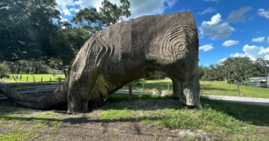 Have you seen this headless Florida dinosaur on the road? Well, it’s got a deadly past