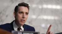 Hawley Comes in Hot, Says Democrats 'Panicking Big Time' As Musk, DOGE Threaten 'Liberal Supply Chains'