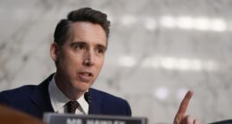 Hawley Comes in Hot, Says Democrats 'Panicking Big Time' As Musk, DOGE Threaten 'Liberal Supply Chains'