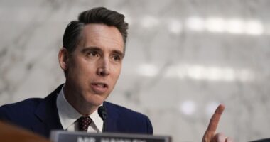 Hawley Comes in Hot, Says Democrats 'Panicking Big Time' As Musk, DOGE Threaten 'Liberal Supply Chains'