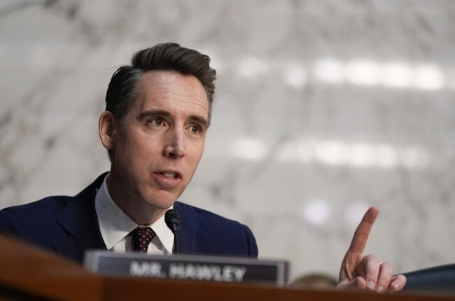 Hawley Comes in Hot, Says Democrats 'Panicking Big Time' As Musk, DOGE Threaten 'Liberal Supply Chains'