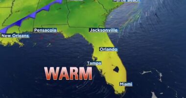 Heating up near 80 in Central Florida ahead of another cold front. Here’s the timing