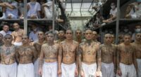 Hidden messages in the tattoos that adorn gang member inmates of El Salvador's 'hellhole' mega jail