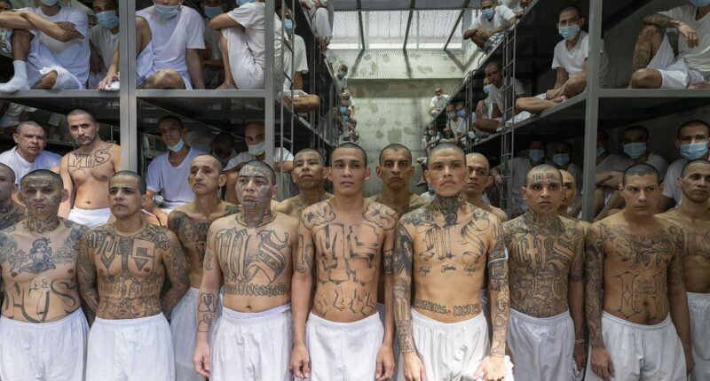 Hidden messages in the tattoos that adorn gang member inmates of El Salvador's 'hellhole' mega jail