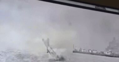 Horrifying moment Navy jet nosedives into bay - as pilots' heroic last-ditch intervention is revealed