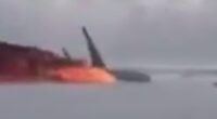 Horrifyingly clear video shows the moment Delta plane crashed and burst into flames without warning in Toronto - so how did ANYONE survive?  