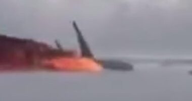 Horrifyingly clear video shows the moment Delta plane crashed and burst into flames without warning in Toronto - so how did ANYONE survive?  