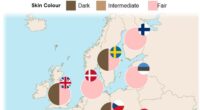 How white skin evolved in Europeans: Incredible map reveals how pale complexions only became the norm 1,700 years ago