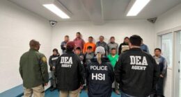 ICE arrests 16 illegal migrants caught fleeing out back of Mississippi business during raid