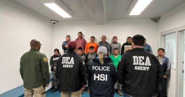 ICE arrests 16 illegal migrants caught fleeing out back of Mississippi business during raid