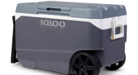 Igloo recalls over a million coolers after handle hazard causes fingertip amputation injuries