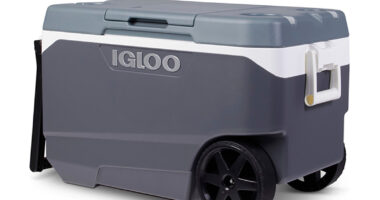 Igloo recalls over a million coolers after handle hazard causes fingertip amputation injuries