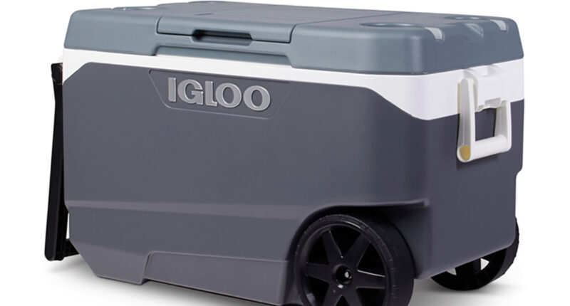 Igloo recalls over a million coolers after handle hazard causes fingertip amputation injuries