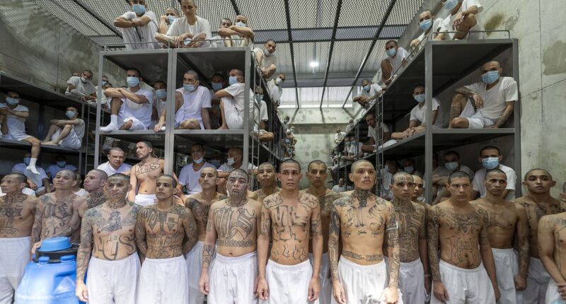 Inside the prison of the living dead: DAVID JONES is the first British journalist to visit El Salvador's godforsaken 40,000 capacity mega prison... and his account will shake you to the core