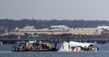 In this image provided by the U.S. Coast Guard, wreckage is seen in the Potomac River near Ronald Reagan Washington National Airport, Thursday, Jan. 30, 2025, in Washington. (Petty Officer 2nd Class Taylor Bacon, U.S. Coast Guard via AP)