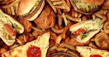 Is YOUR area a fast food hotspot? Intriguing map reveals areas where you're most likely to get fat from eating out