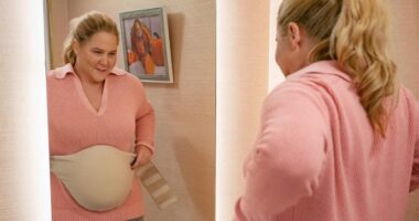 Is ‘Kinda Pregnant’ Based on a True Story? Amy Schumer’s Netflix Movie Dredges Up Old Meghan Markle Conspiracy Theory