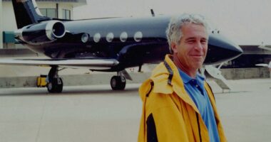 Jeffrey Epstein files: Trump's election could expose names on 'black book' list