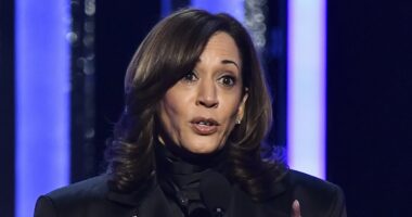 Kamala Harris makes her first TV appearance since leaving the White House