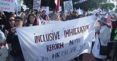 LA freeway blocked by anti-deportation protesters in response to Trump's crackdown on illegal immigration