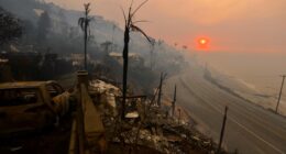 LA's rich and famous made 'odd request' of private armies as wildfires fueled fear, boss says