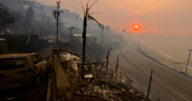 LA's rich and famous made 'odd request' of private armies as wildfires fueled fear, boss says