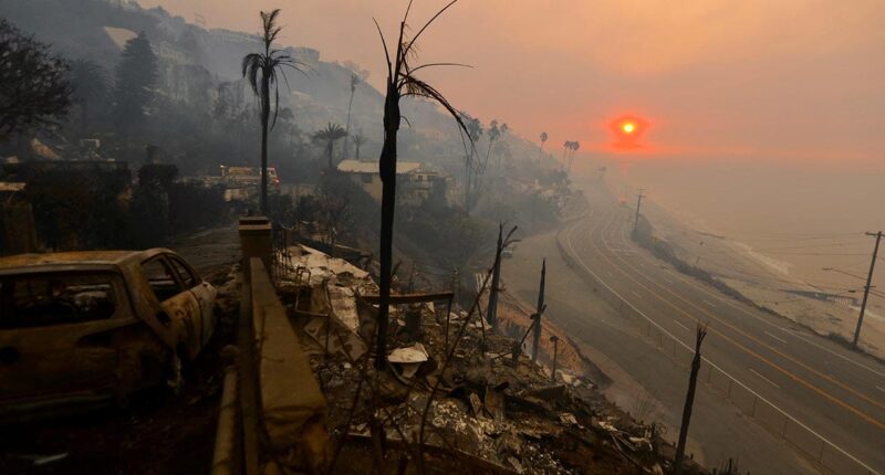 LA's rich and famous made 'odd request' of private armies as wildfires fueled fear, boss says