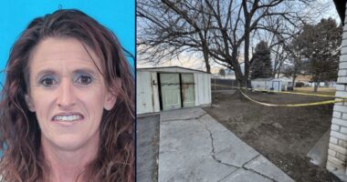 Man murdered ex-girlfriend, stuffed body in shed, cops say