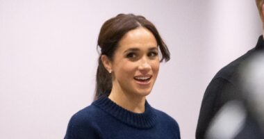 Meghan Markle Shares Rare Photo of Princess Lilibet on New Website